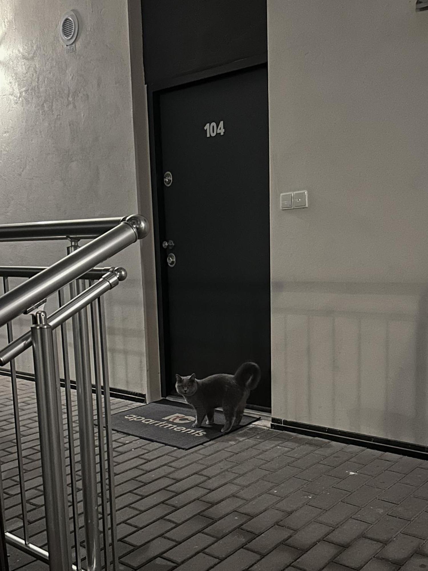 Haas Apartments Downtown With Parking Brno Bagian luar foto