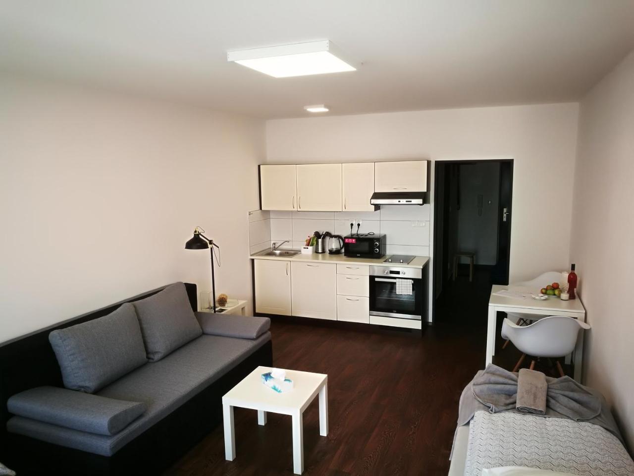 Haas Apartments Downtown With Parking Brno Bagian luar foto