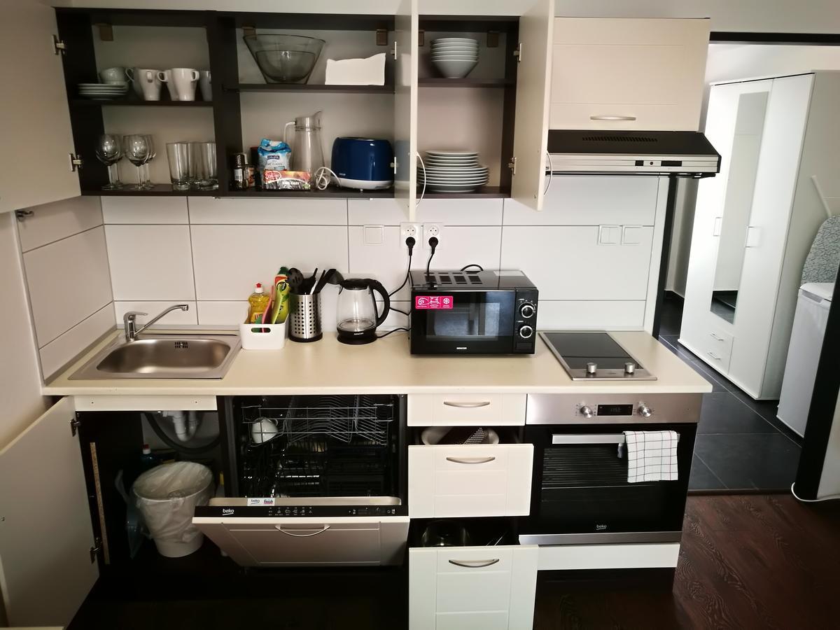 Haas Apartments Downtown With Parking Brno Bagian luar foto