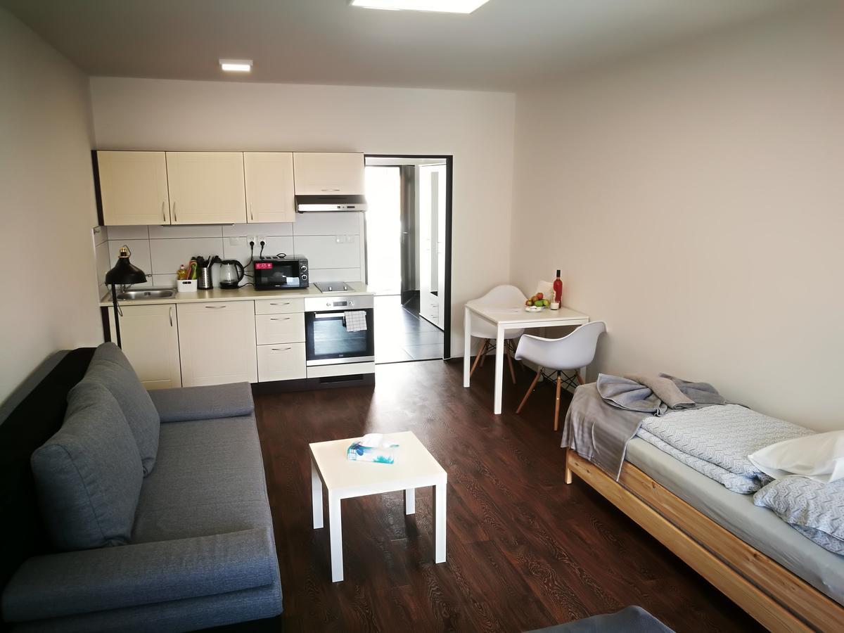 Haas Apartments Downtown With Parking Brno Bagian luar foto